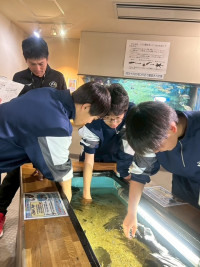 おさかな館１