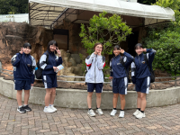 1 (16)